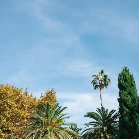Larios Premium Apartment Malaga