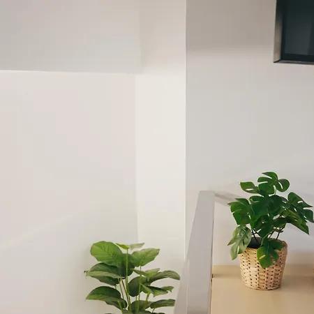 Apartment Larios Premium