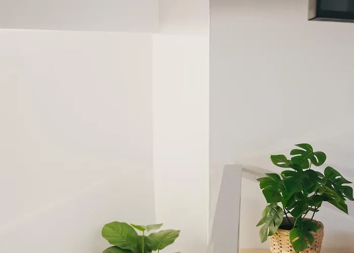 Apartamento Larios Premium